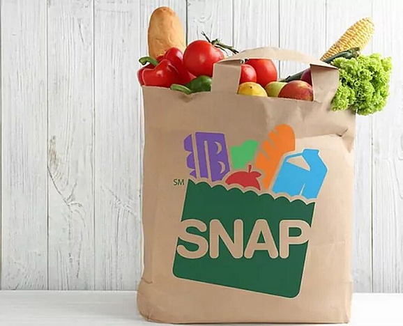 What Is the Supplemental Nutrition Assistance Program (SNAP) and How Does It Help?